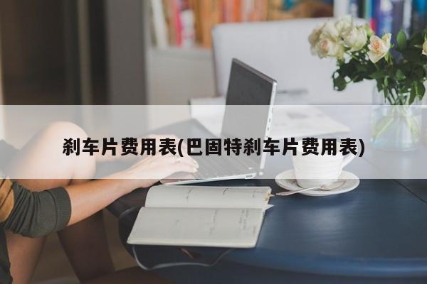 刹车片费用表(巴固特刹车片费用表)